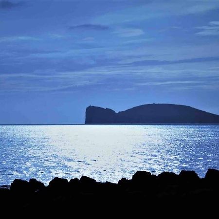Alghero Sun & Sea - Spiaggia A 50 Metri Luaran gambar
