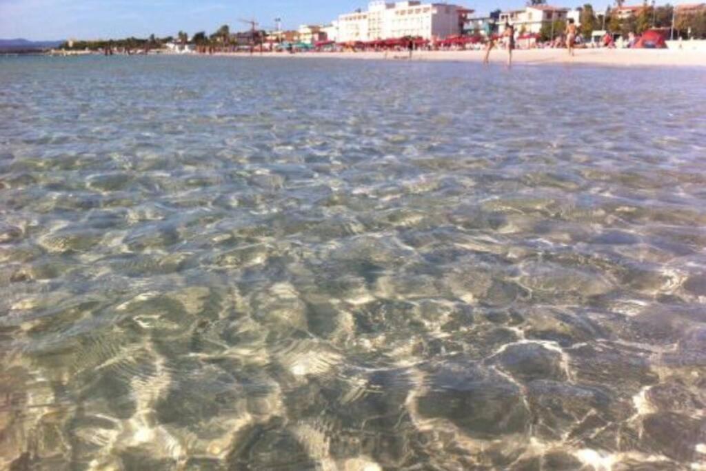 Alghero Sun & Sea - Spiaggia A 50 Metri Luaran gambar